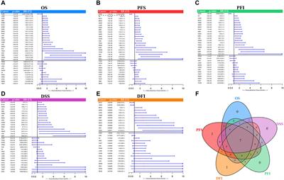 LINC01614 is a promising diagnostic and prognostic marker in HNSC linked to the tumor microenvironment and oncogenic function